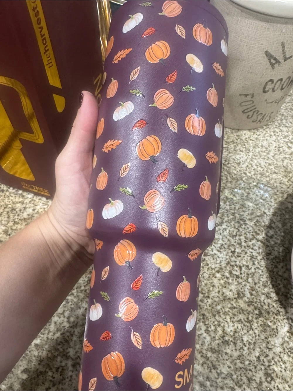 Simple Modern Purple Pumpkin Fall Travel Tumbler with Straw